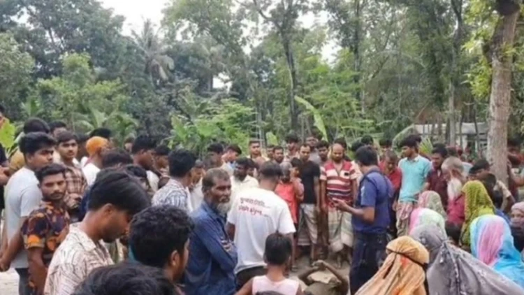 নাটোরে পুকুর থেকে রিকশাচালকের লাশ উদ্ধার