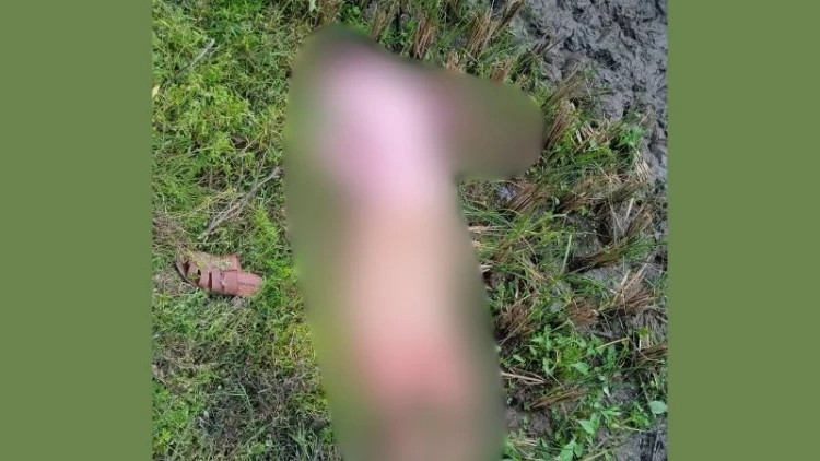 বগুড়ায় সিএনজিচালককে হত্যা করে গাড়ি ছিনতাই