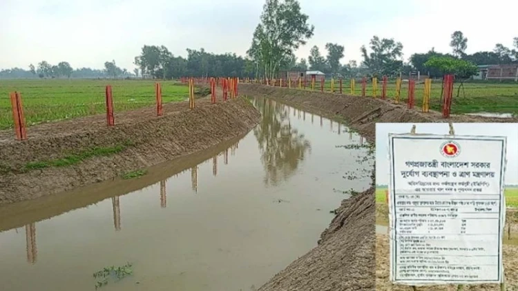 বিরলে নোনা খাড়ি খননে কৃষকের ভাগ্যবদল
