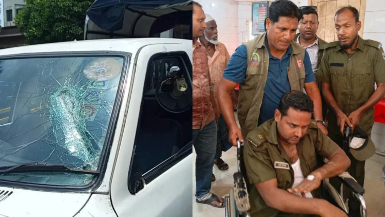 শ্রীপুরে বন বিভাগের ওপর অতর্কিত হামলা ও গাড়ি ভাঙচুর