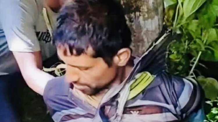 কুষ্টিয়ায় চালককে গাছে বেঁধে ভ্যান ছিনতাই
