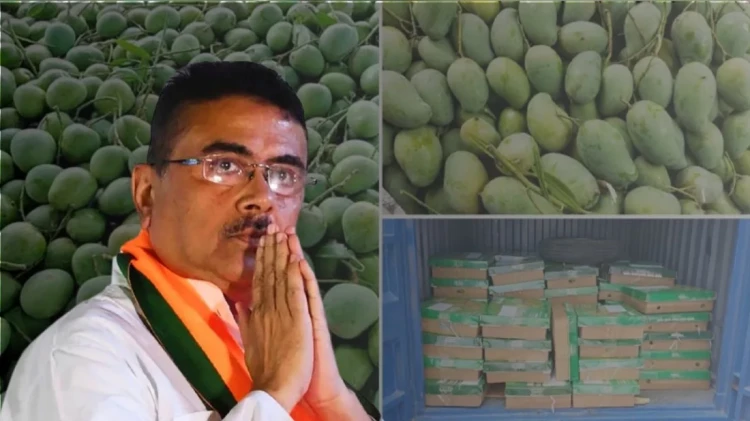 শুভেন্দু অধিকারীর জন্য ৫০০ কেজি আম পাঠালো বাংলাদেশ