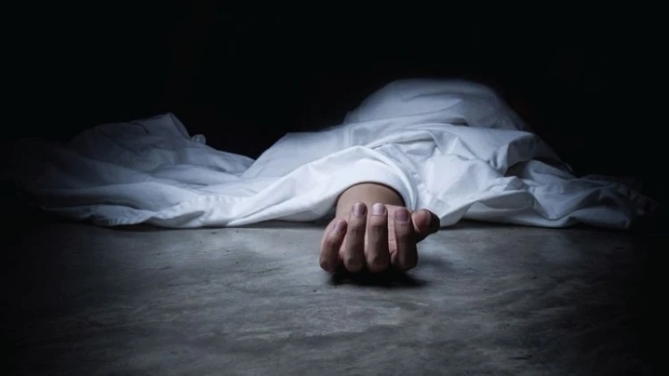 সাঘাটায় নাতির ছুরিকাঘাতে দাদি নিহত