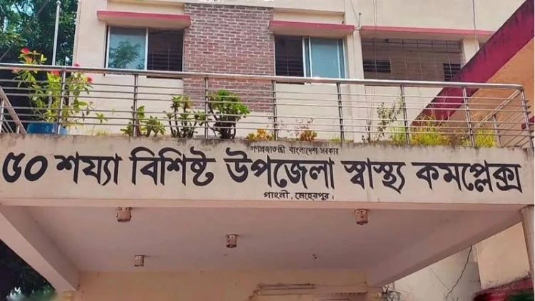 মেহেরপুরে কুকুরের কামড়ে আহত ২০, এলাকাজুড়ে আতঙ্ক
