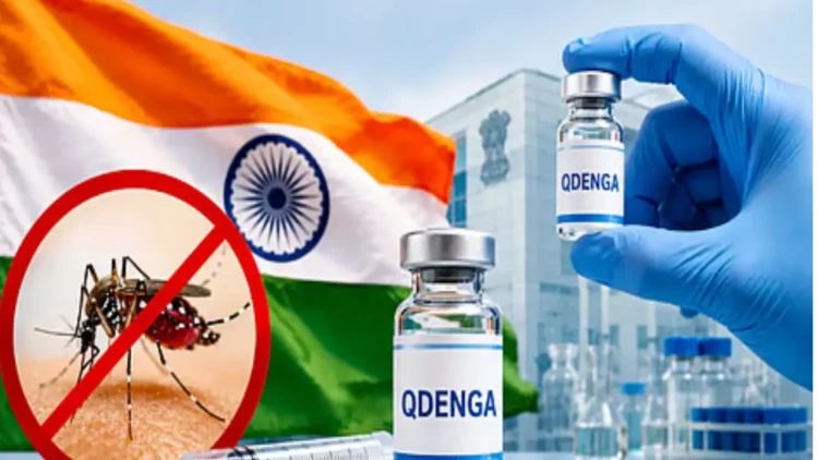 ভারতে অনুমোদন পেল প্রথম ডেঙ্গু টিকা কিউডেঙ্গা