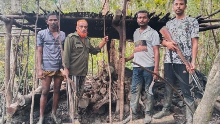 সুন্দরবনে অভিযান চালিয়ে অবৈধ শুটকি ঘর উচ্ছেদ