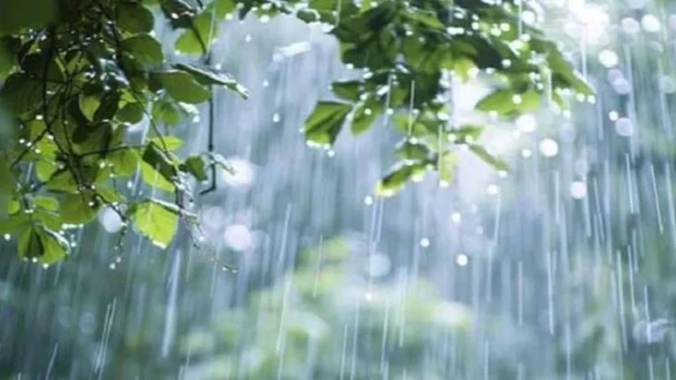 চার বিভাগে ভারি বৃষ্টির পূর্বাভাস,  ভূমিধসের তীব্র আশঙ্কা