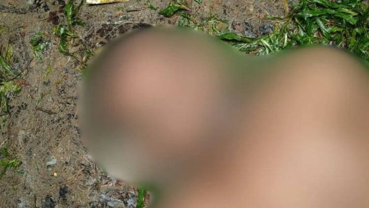 ভালুকায় মসজিদের পুকুর থেকে লাশ উদ্ধার