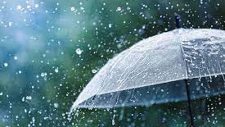 বঙ্গোপসাগরে লঘুচাপের পূর্বাভাস: দেশজুড়ে ভারী বৃষ্টির সংকেত