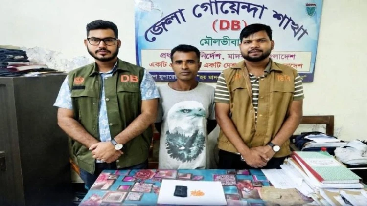 ইয়াবাসহ কারবারি ডিবির জালে আটক