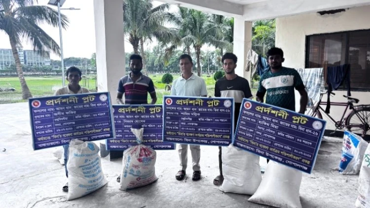 গোপালগঞ্জে ‘বিনা তোষাপাট-১’ চাষে সাফল্য