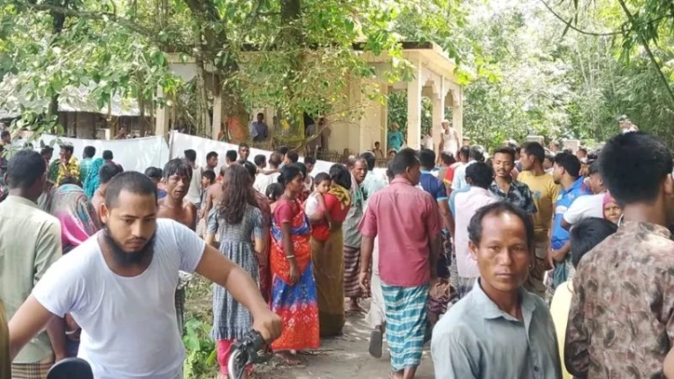 কিশোরগঞ্জে সাপের কামড়ে ২ জনের মৃত্যু