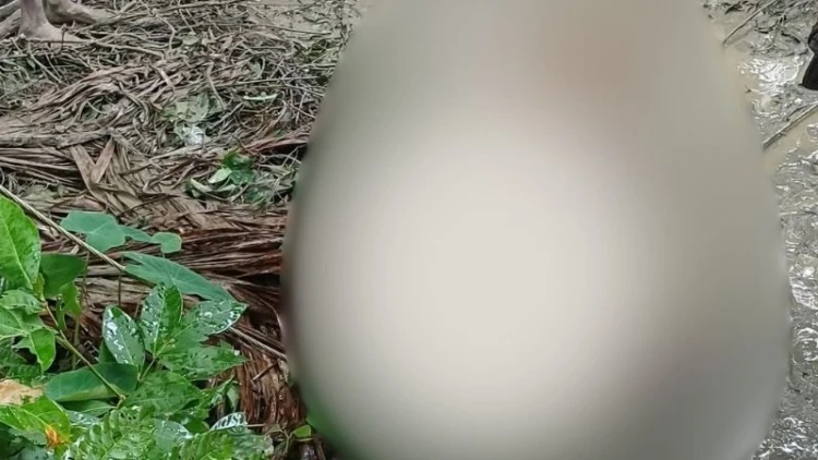 বাউফলে ছেঁড়া তারে জড়িয়ে কৃষকের মৃত্যু