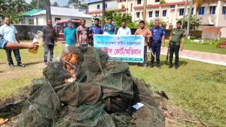 বেতাগীতে চায়না দুয়ারী জালের বিরুদ্ধে অভিযান
