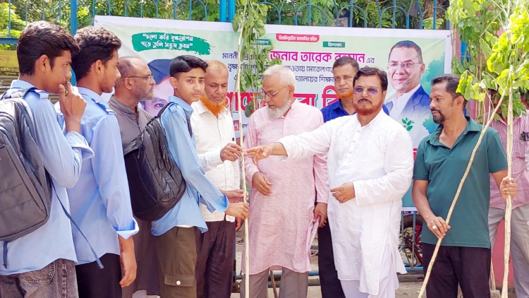 মোরেলগঞ্জে শিক্ষার্থীদের মাঝে ৩০০ গাছের চারা বিতরণ