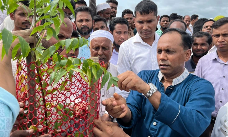 কলমাকান্দায় গাছ উপড়ে ফেলা দুর্বৃত্তদের গ্রেফতারে ডেপুটি স্পিকারের ৪৮ ঘণ্টার আল্টিমেটাম