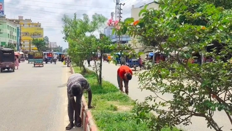 রাষ্ট্রপতির ঠাকুরগাঁও সফর কেন্দ্র করে উৎসবের আমেজ