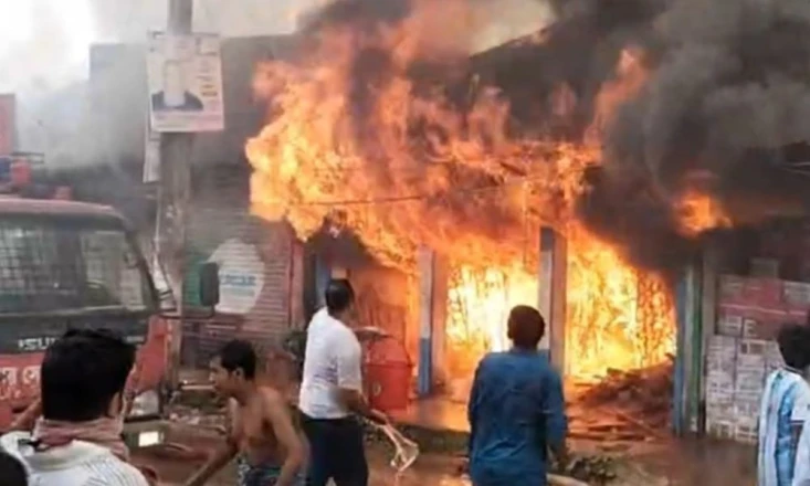 রাজবাড়ীর পাংশায় ভিমরুলের বাসা পোড়াতে গিয়ে আগুনে ৫ দোকান ছাই