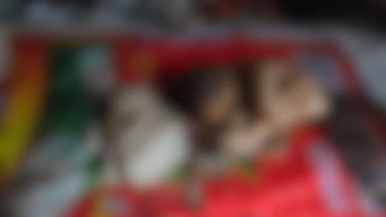 বরিশালে ময়লার স্তূপ থেকে দুই নবজাতকের লাশ উদ্ধার