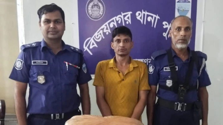 বিজয়নগরে গাঁজাসহ মাদক কারবারি গ্রেপ্তার