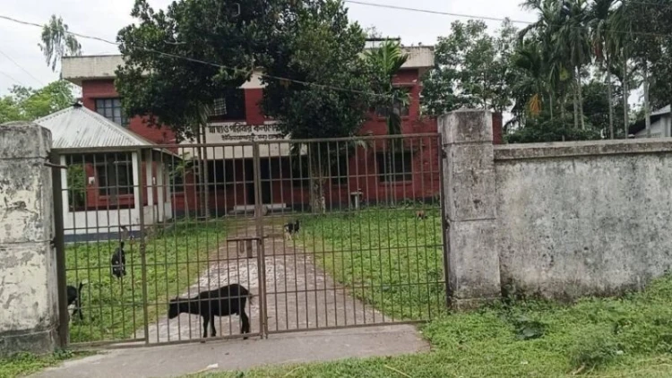 ডোমারে স্বাস্থ্যকেন্দ্রে পশুপালন ও ফটক বন্ধের অভিযোগ