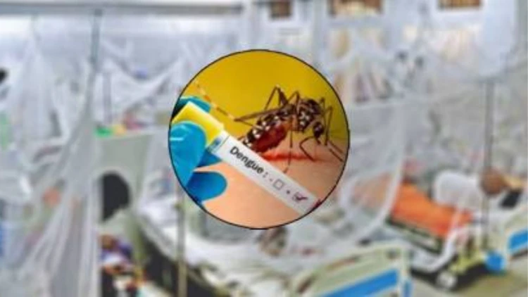 ডেঙ্গুতে ২৪ ঘণ্টায় ৬ জনের মৃত্যু, নতুন আক্রান্ত ১৬৫৫ জন