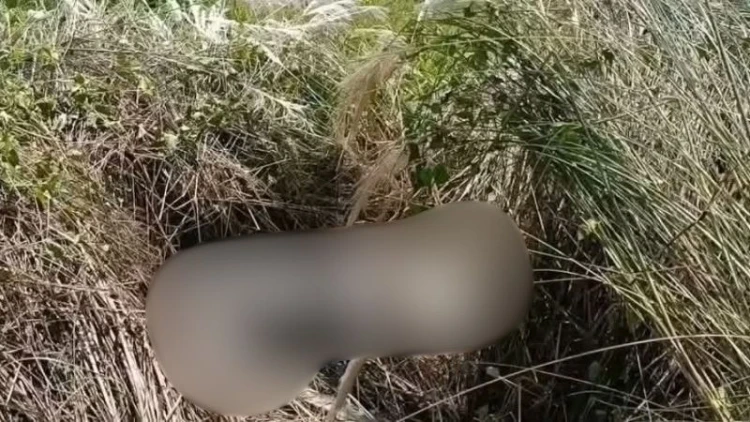 ব্রাহ্মণবাড়িয়ায় অটোরিকশাচালকের লাশ উদ্ধার