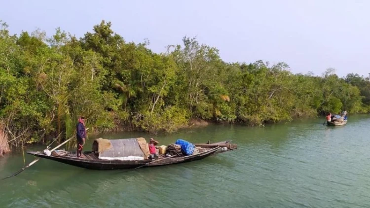 সুন্দরবনে ২১ জেলে অপহৃত, আতঙ্কে উপকূল