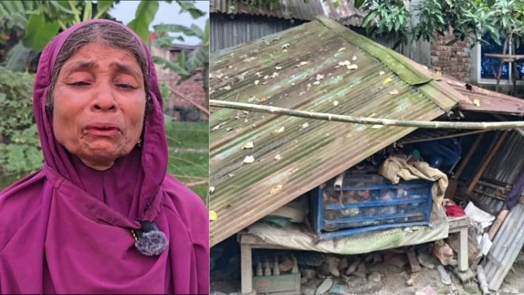 বিশ্ব বসতি দিবসে বাস্তুচ্যুত অসহায় বিধবা, বসতঘর দখলের অভিযোগ