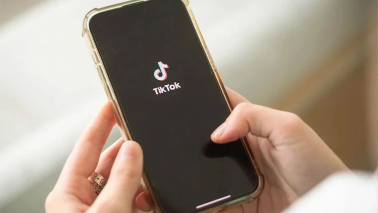 টিকটকে এলো নতুন এআই ফিচার, অ্যাপেই এক ক্লিকে কেনাকাটা