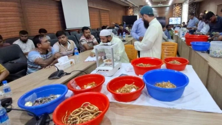 পাগলা মসজিদের দানবাক্সে মিলল ১ হাজার ৪৪ ভরি সোনা