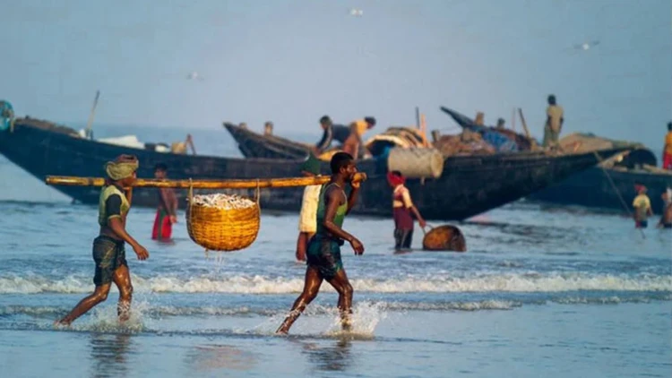 পাঁচ বছরে সামুদ্রিক মাছ আহরণ কমেছে ১৬.৫৭ শতাংশ