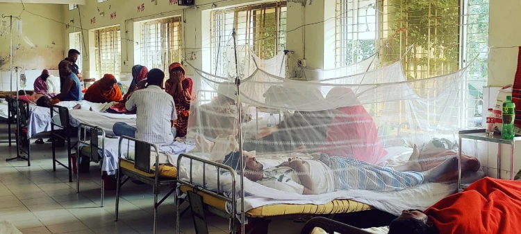 কালিয়াকৈরে লাফিয়ে লাফিয়ে বাড়ছে ডেঙ্গু রোগী